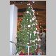 trees2004-k.jpg