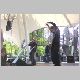 harvest-29.jpg