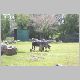 zoo-05-e.jpg
