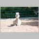 zoo-05-h.jpg