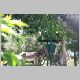zoo-jul505-c.jpg