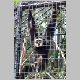 zoo-jul505-f.jpg