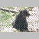 zoo-jul505-h.jpg