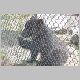 zoo-jul505-i.jpg