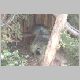 zoo-jul505-l.jpg