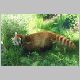 zoo-jul505-m.jpg