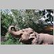 zoo-print-jul2705-013.jpg