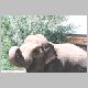 zoo-print-jul2705-014.jpg