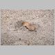 zoo-print-jul2705-015.jpg