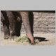 zoo-print-jul2705-4.jpg