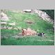 zoo-print-jul2705-5.jpg
