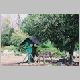 zoo-print-jul2805-04.jpg