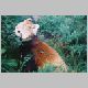 zoo-print-jul2805-05.jpg