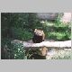 zoo-print-jul705-014.jpg