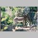 zoo-print-jul705-016.jpg