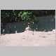 zoo-print-jul705-07.jpg