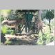 zoo-print-jul705-08.jpg